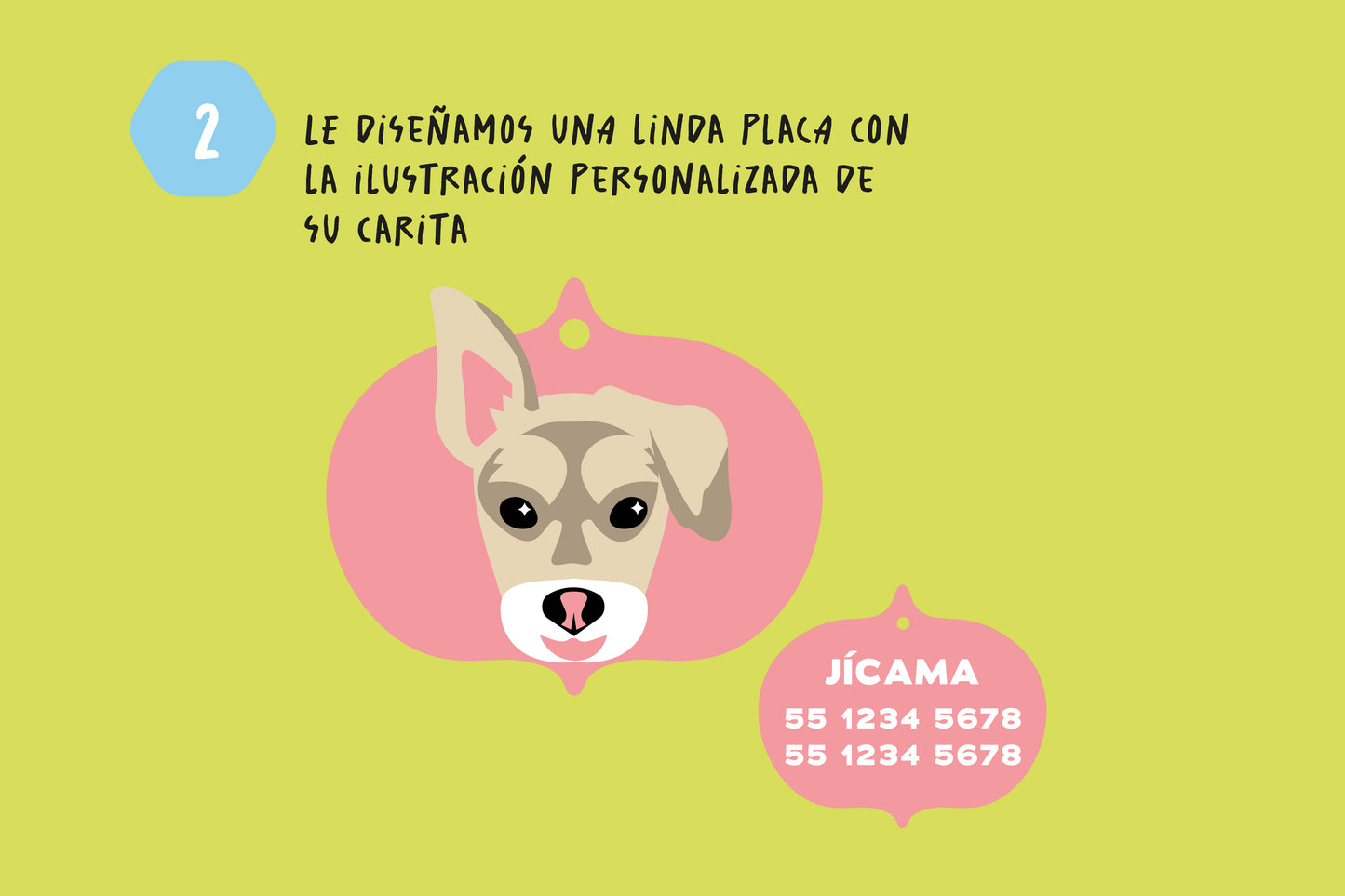 Plaquitas para Mascotas