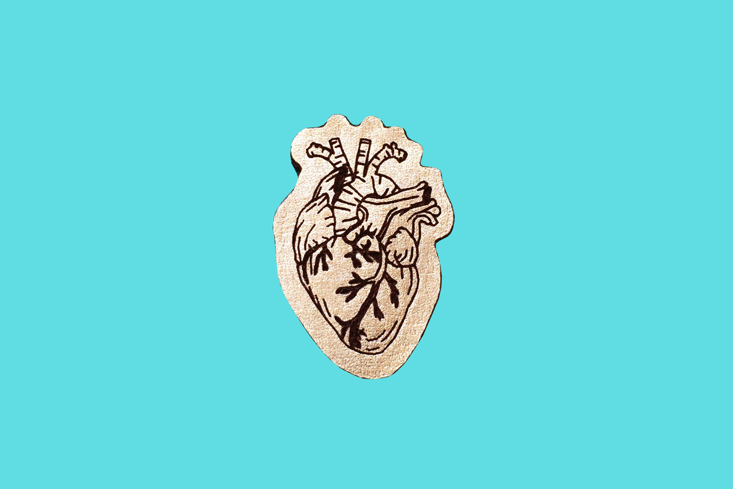 Anatomical Heart Pin